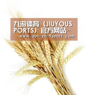 九游体育（JIUYOUSPORTS）官方网站-官网入口