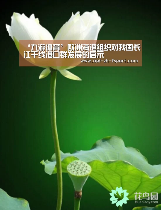 九游体育