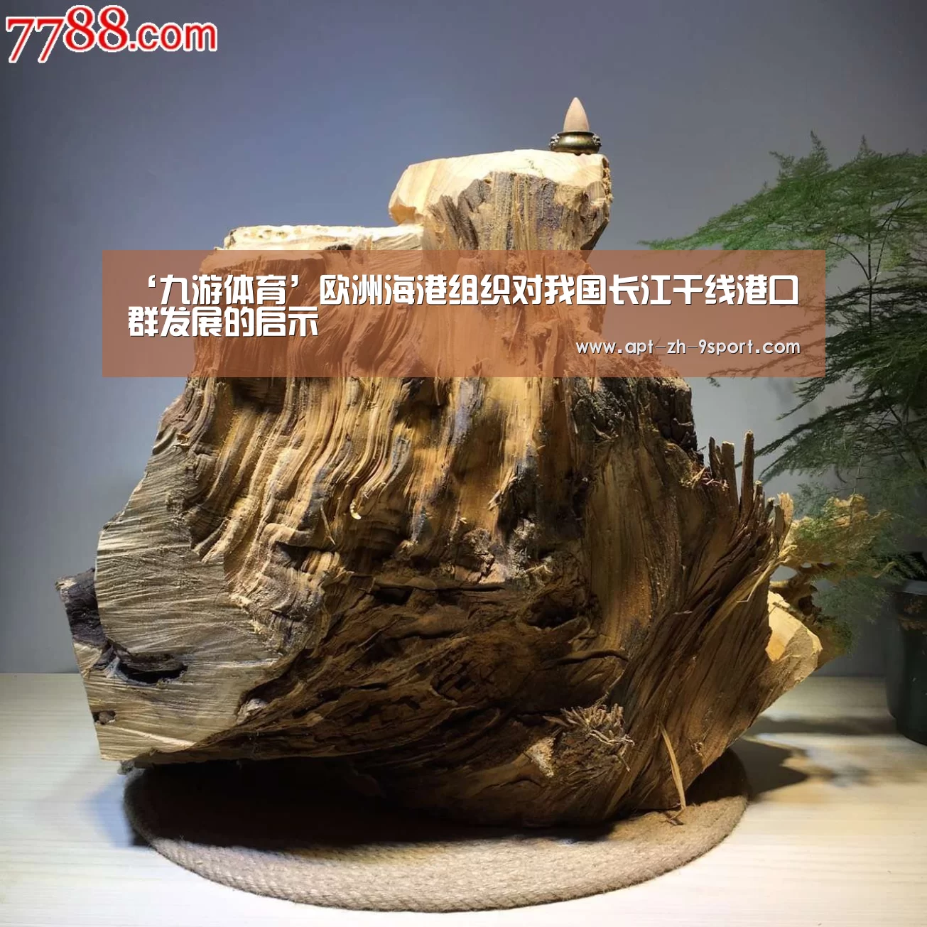 九游体育