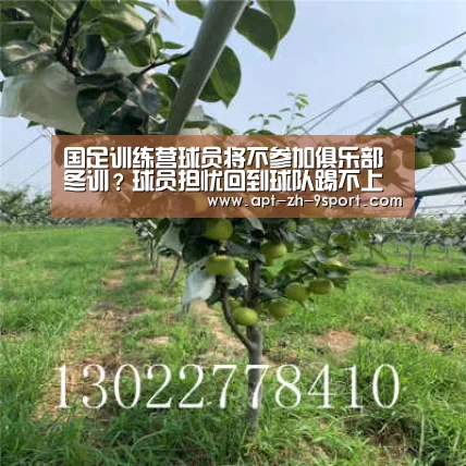 九游体育