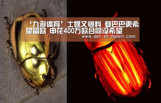 九游体育