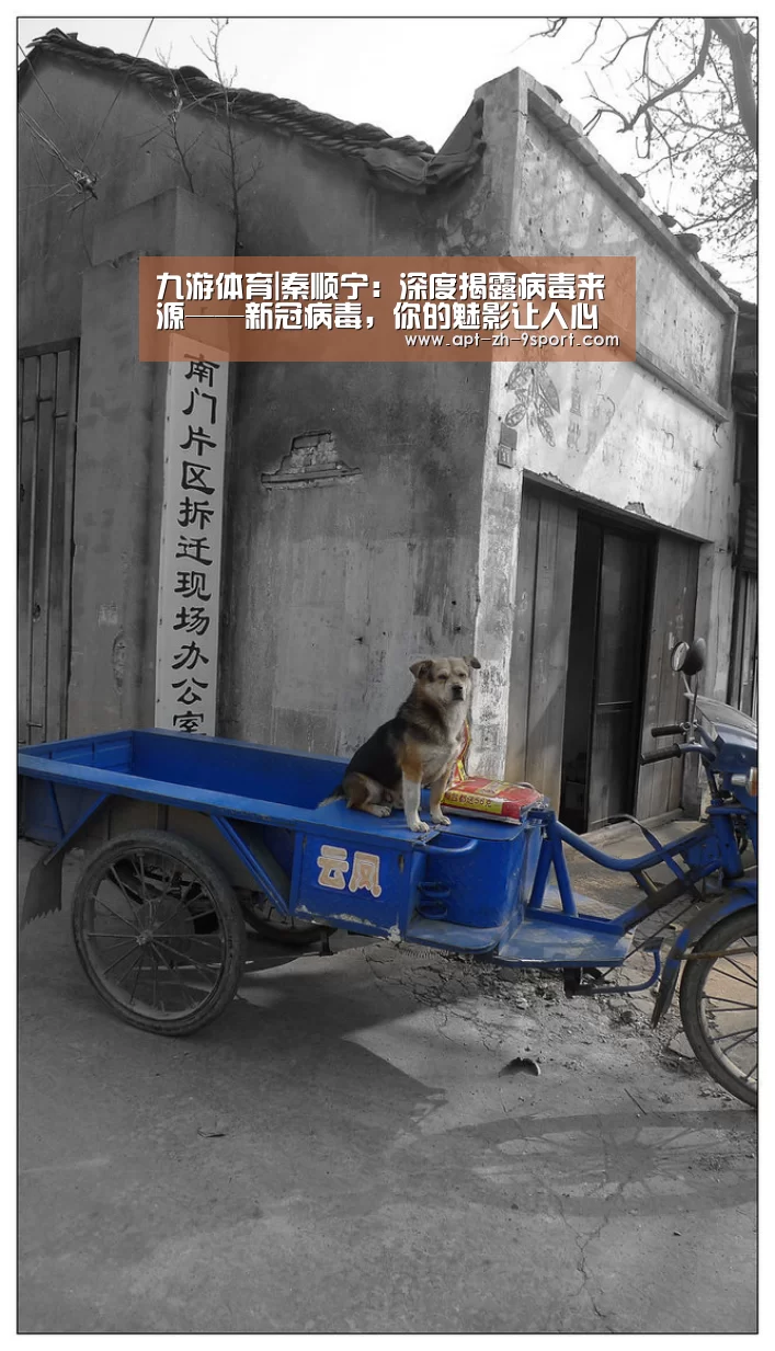 九游体育