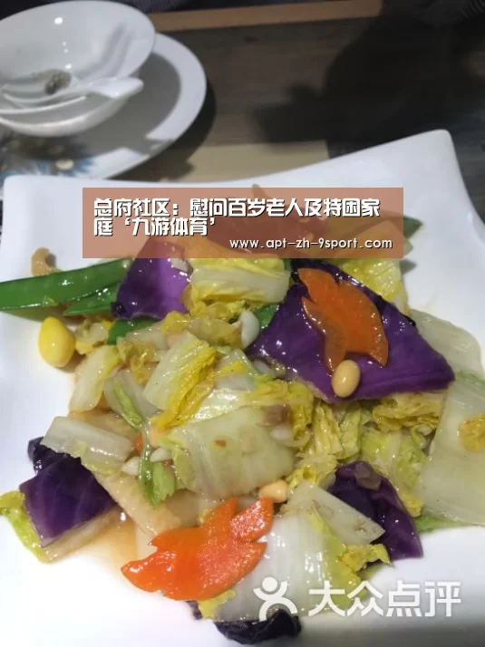 总府社区：慰问百岁老人及特困家庭‘九游体育’